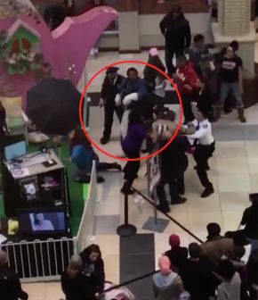 An Easter Bunny enactor and another mall visitor threw punches on Sunday.