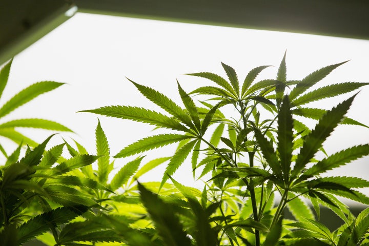 The Supreme Court dismissed a lawsuit that challenged Colorado's legalization of marijuana. It was brought by neighboring sta