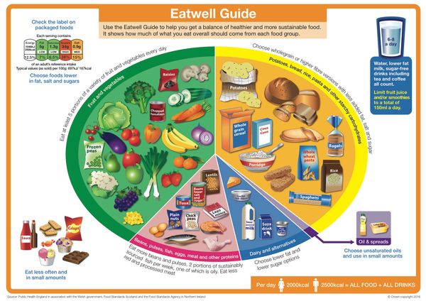 that both grains and fruits and vegetables should each make up