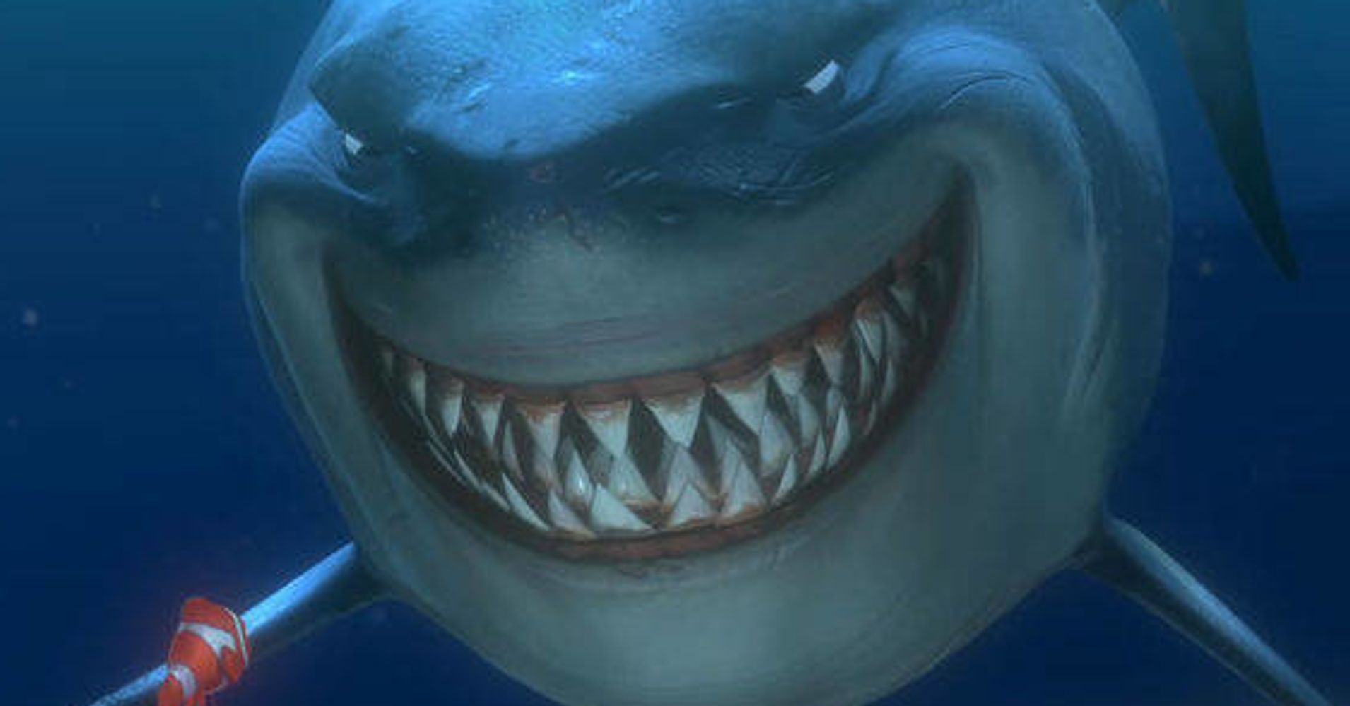 Smiling Lemon Shark Looks Just Like Bruce From 'Finding Nemo' | HuffPost