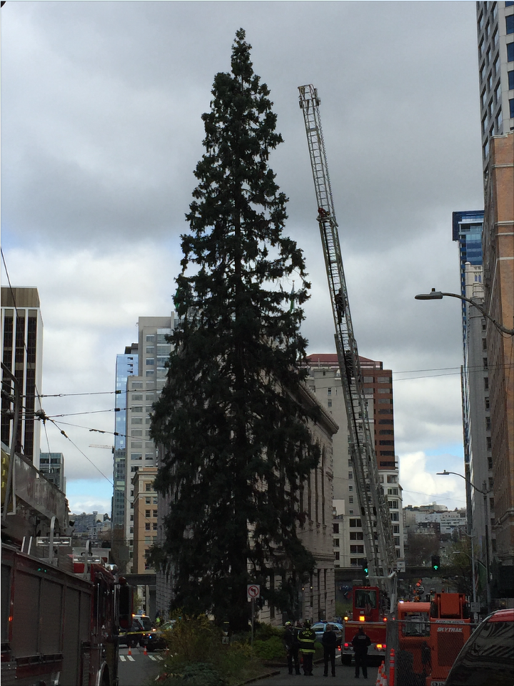 Police and fire officials spent hours trying to negotiate with him to come down Tuesday while using a giant ladder.