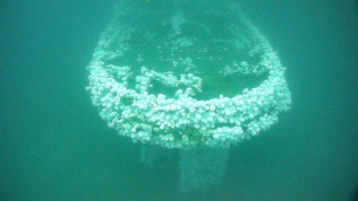 The stern of the USS Conestoga.