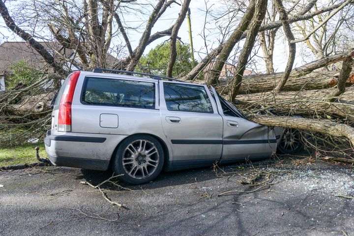 <strong>A Cars crushed by a falling tree in Brighton, Sussex</strong>