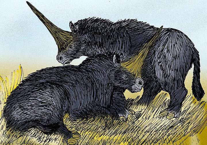 An illustration of what the extinct species <em>Elasmotherium sibiricum </em>may have looked like.
