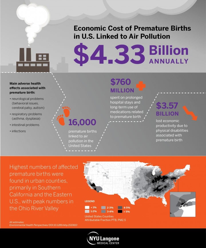 This infographic shows that the economic cost of premature births linked to air pollution is $4.3 billion.