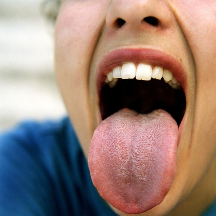 Human tongue. 