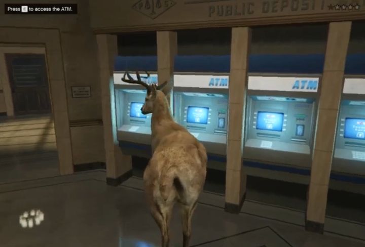 The deer visits an ATM.