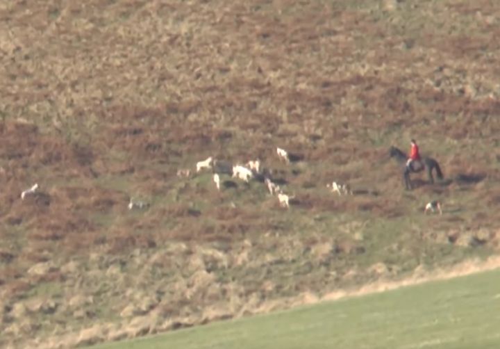 The League Against Cruel Sports handed footage to the police of the Jed Forest Hunt.