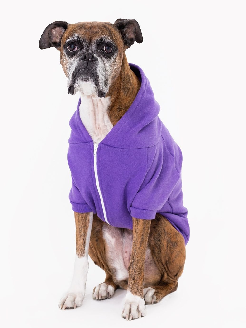 american apparel dog hoodie