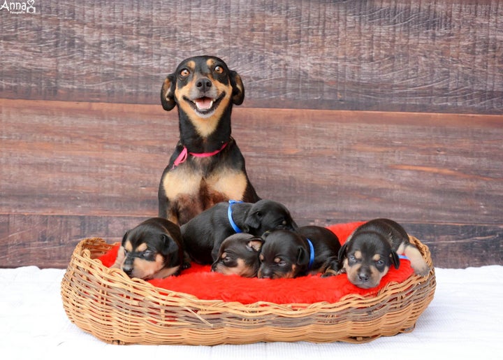 Lilica, looking like the proudest mom in the world.