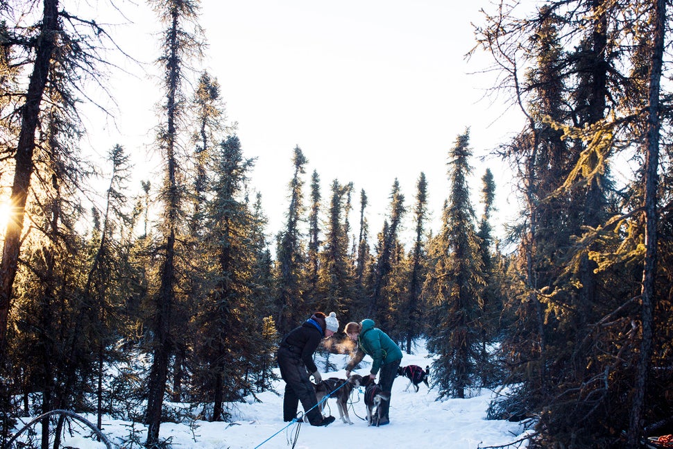 Kristin and Andy Pace prepare for a training run at their kennel Hey Moose! Kennel in Healy, Alaska.