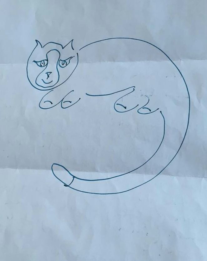 Michael Barton's drawing of his police cat
