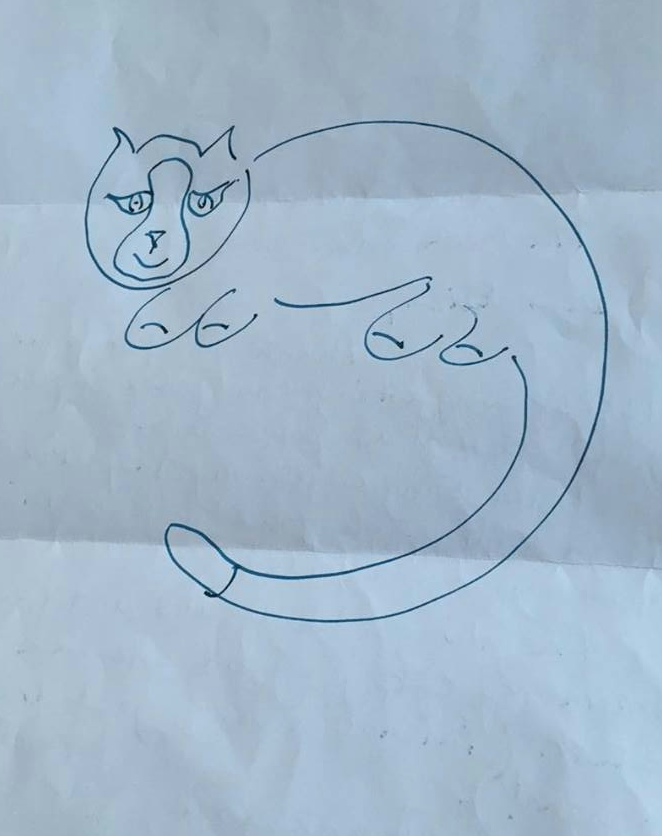 Michael Barton's drawing of his police cat