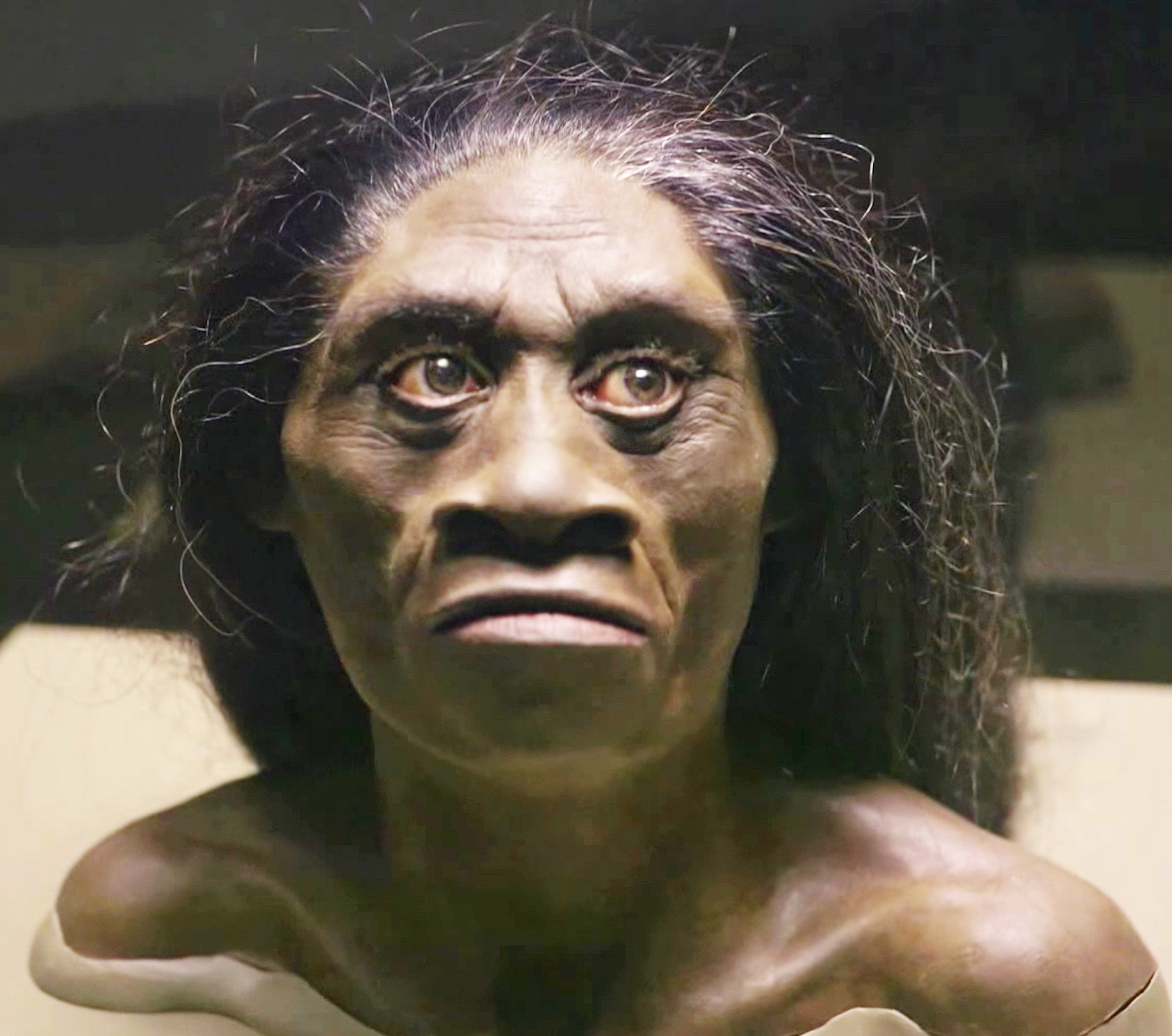 Modern Humans May Have Caused The Extinction Of Real 'Hobbits ...