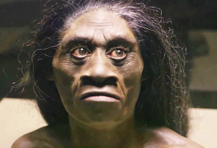 A reconstruction sculpture of a "hobbit" head. The species, Homo floresiensis, is an extinct human relative from the Liang Bua cave on Indonesia's Flores Island.