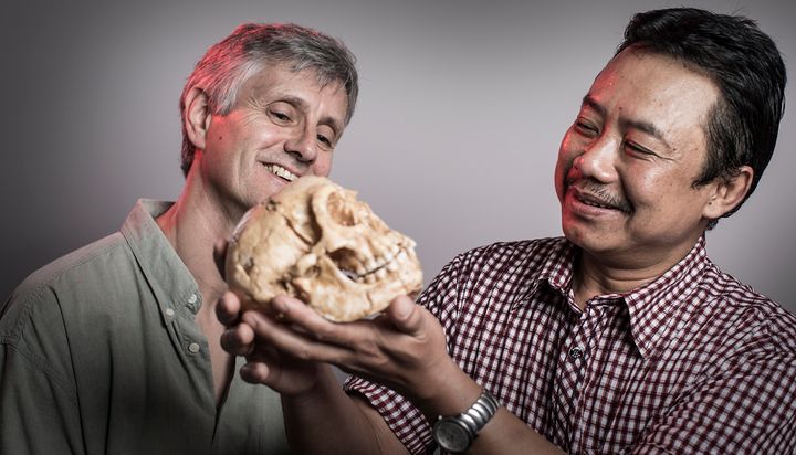 The University of Wollongong's Dr. Richard Roberts and Dr. Thomas Sutikna, holding a copy of a Homo floresiensis skull. Sutikna oversaw the excavations on the Island of Flores.