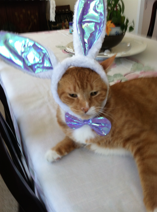 MushMush begrudgingly celebrates Easter.