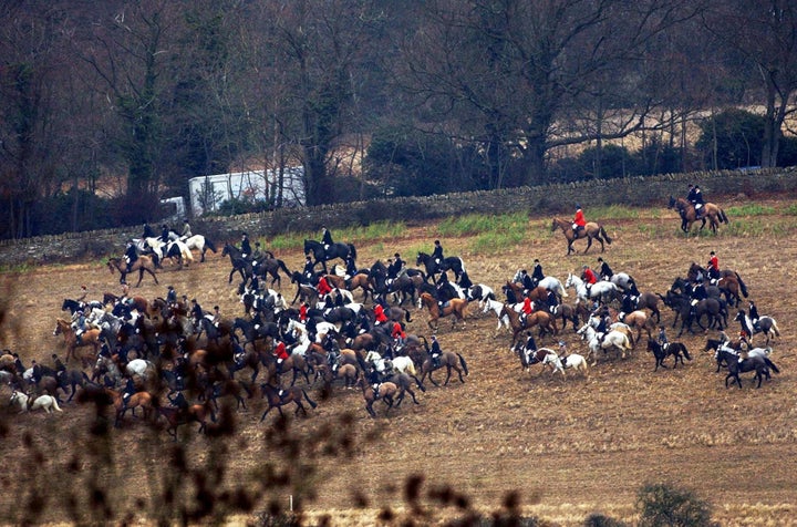 <strong>The girl is believed to have been riding with The Cotswold Hunt (file pic)</strong>