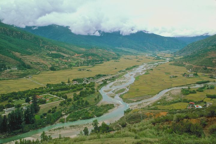 Bhutan's constitution mandates that 60 percent of its land remains under forest cover.