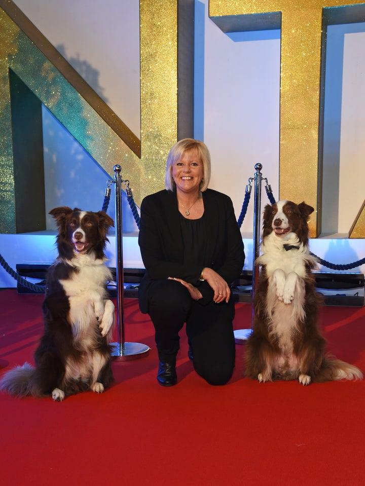<strong>Jules O'Dwyer with dogs Matisse and Chase</strong>