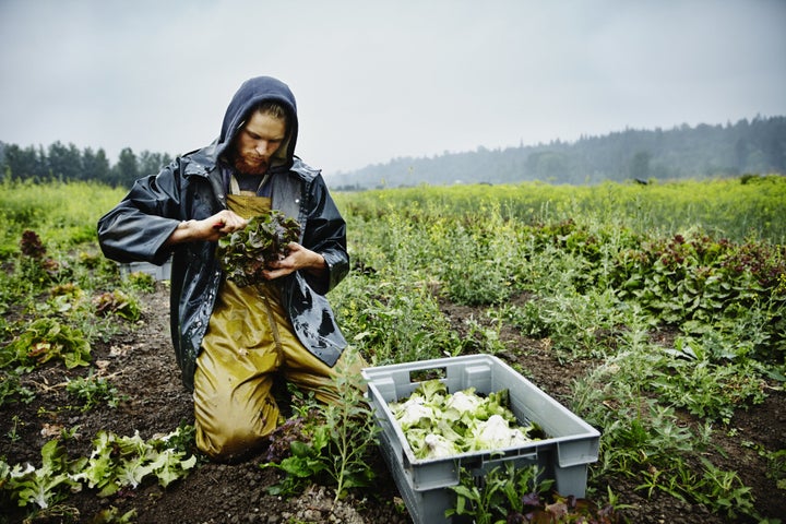 The U.S. has certified 21,781 organic growers since 2002, according to the USDA.