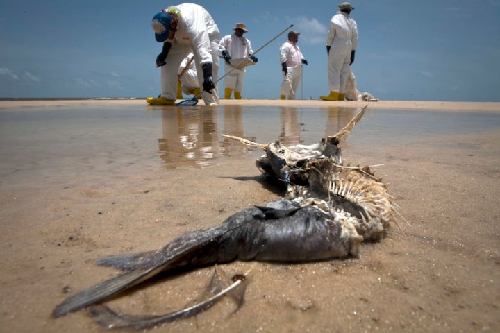 The Deepwater Horizon drilling rig explosion at BP's Macondo undersea well in the Gulf of Mexico killed 11 workers and triggered the worst oil spill in U.S. history. 