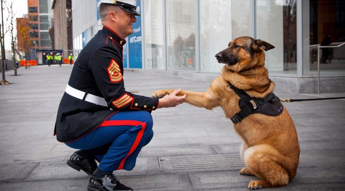 Lucca and her owner Gunnery Sergeant (GySgt) Christopher Willingham 