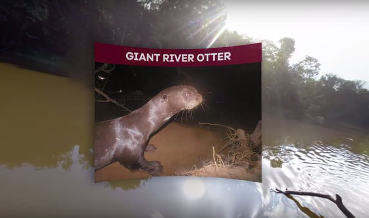 Scientists can use the virtual reality footage to map habitats remotely.