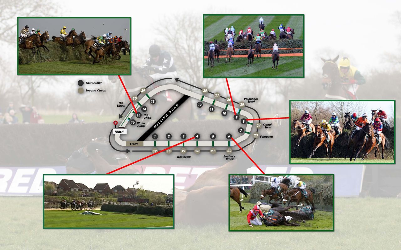 The 'deadliest' fences at the Grand National, as listed by Animal Aid -<a href="http://i.huffpost.com/gen/4186216/original.jpg" target="_blank" role="link" class=" js-entry-link cet-internal-link" data-vars-item-name=" click here to enlarge the graphic" data-vars-item-type="text" data-vars-unit-name="5703cb93e4b0884065f1519a" data-vars-unit-type="buzz_body" data-vars-target-content-id="http://i.huffpost.com/gen/4186216/original.jpg" data-vars-target-content-type="feed" data-vars-type="web_internal_link" data-vars-subunit-name="article_body" data-vars-subunit-type="component" data-vars-position-in-subunit="2"> click here to enlarge the graphic</a>