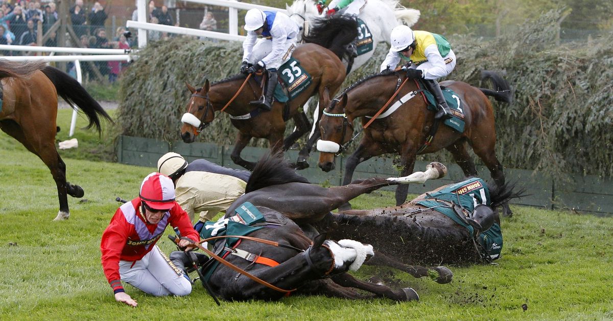 Grand National Horse Deaths At Aintree Racecourse Revealed In New Graphic HuffPost UK News
