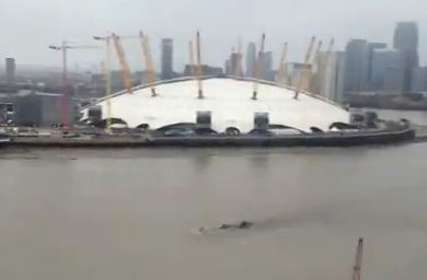 Something big is swimming about in the Thames