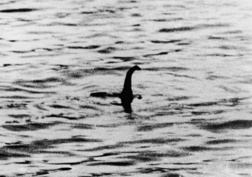 The iconic picture of 'Nessie' 