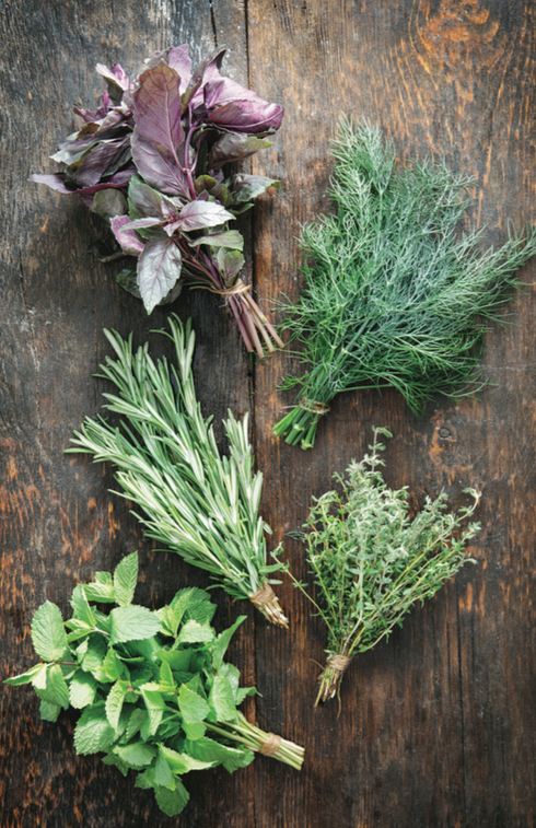 3 Herbs Italian Food Lovers Should Have In Their Home HuffPost Life 3 Herbs Italian Food Lovers Should Have In Their Home HuffPost Life