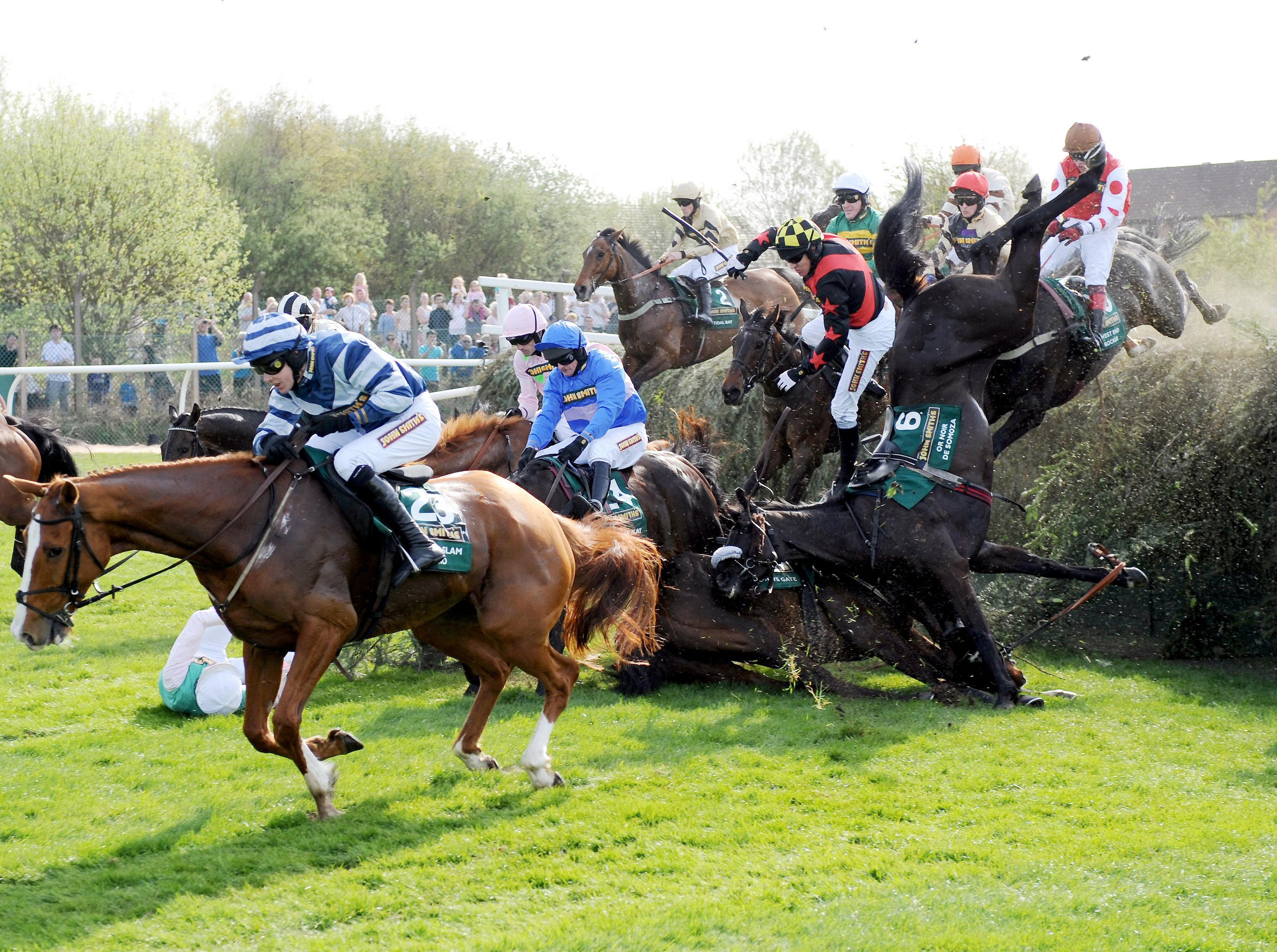 Grand National Horse Deaths At Aintree Racecourse Revealed In New Graphic