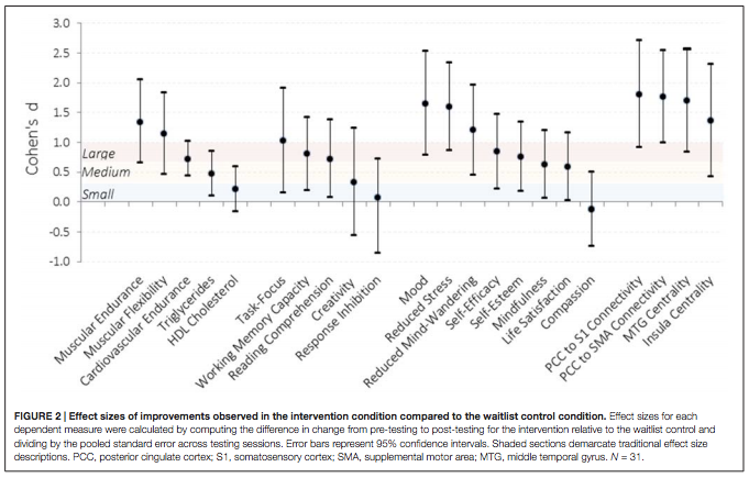 This graph demonstrates the physical, cognitive and emotional improvements that participants experienced after the six-week program. The dots fall into one of three effect sizes (small, medium or large) compared to the measurements taken at the beginning of the experiment. The dots that are placed above the "Large" area are "Very Large" effects.