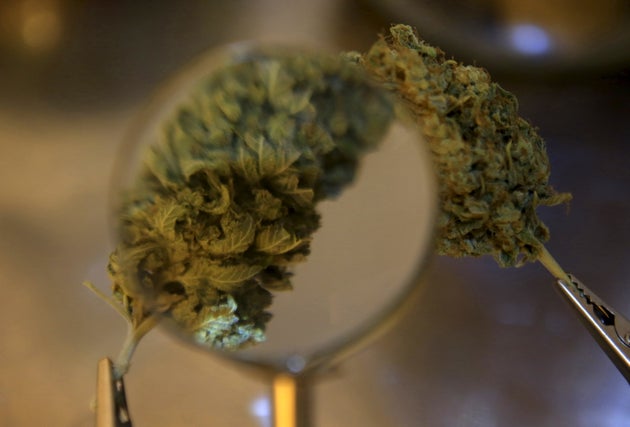 DEA Plans To Decide Whether To Reschedule Marijuana By