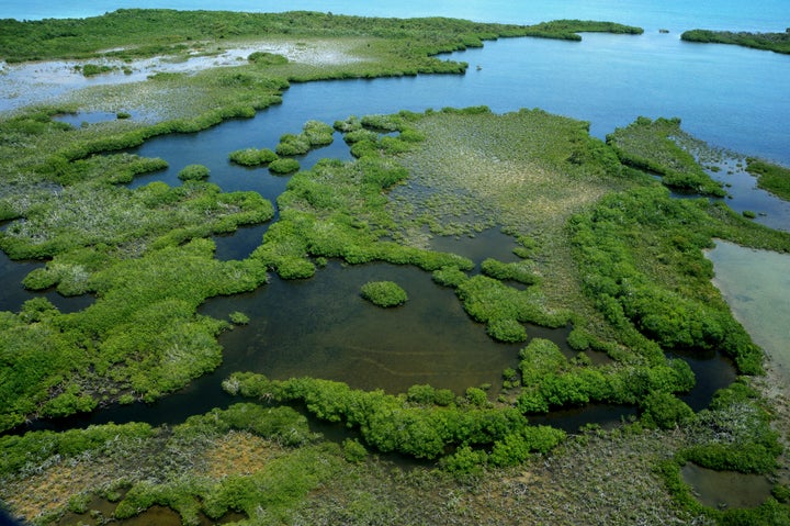 Belize has lost nearly 12,500 acres of mangrove cover around the Belize Barrier Reef Reserve System due to development.