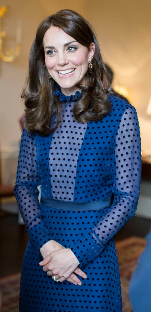 kate middleton sheer dress Blue Princess Illusion Long Sleeves Prom Re – Hoprom Kate Middleton Wears Sheer, Hand-Embroidered