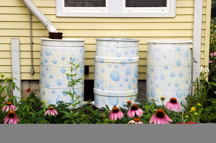 Barrels can collect rainwater flowing from a home's downspout. A Colorado State University analysis found such barrels' impact on runoff was negligible.