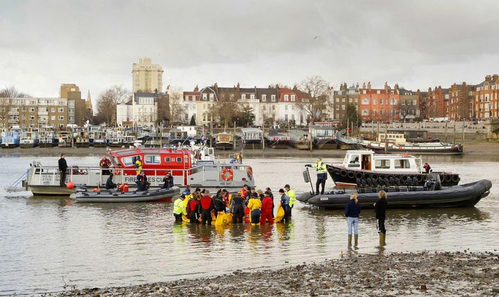 Rescuers battle to save the 15ft northern bottle-nosed whale in the Thames in 2006.