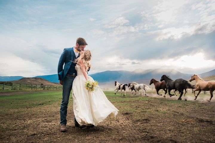 120 horses at the Sundance Guest Ranch gallop through the newlyweds' portrait session.
