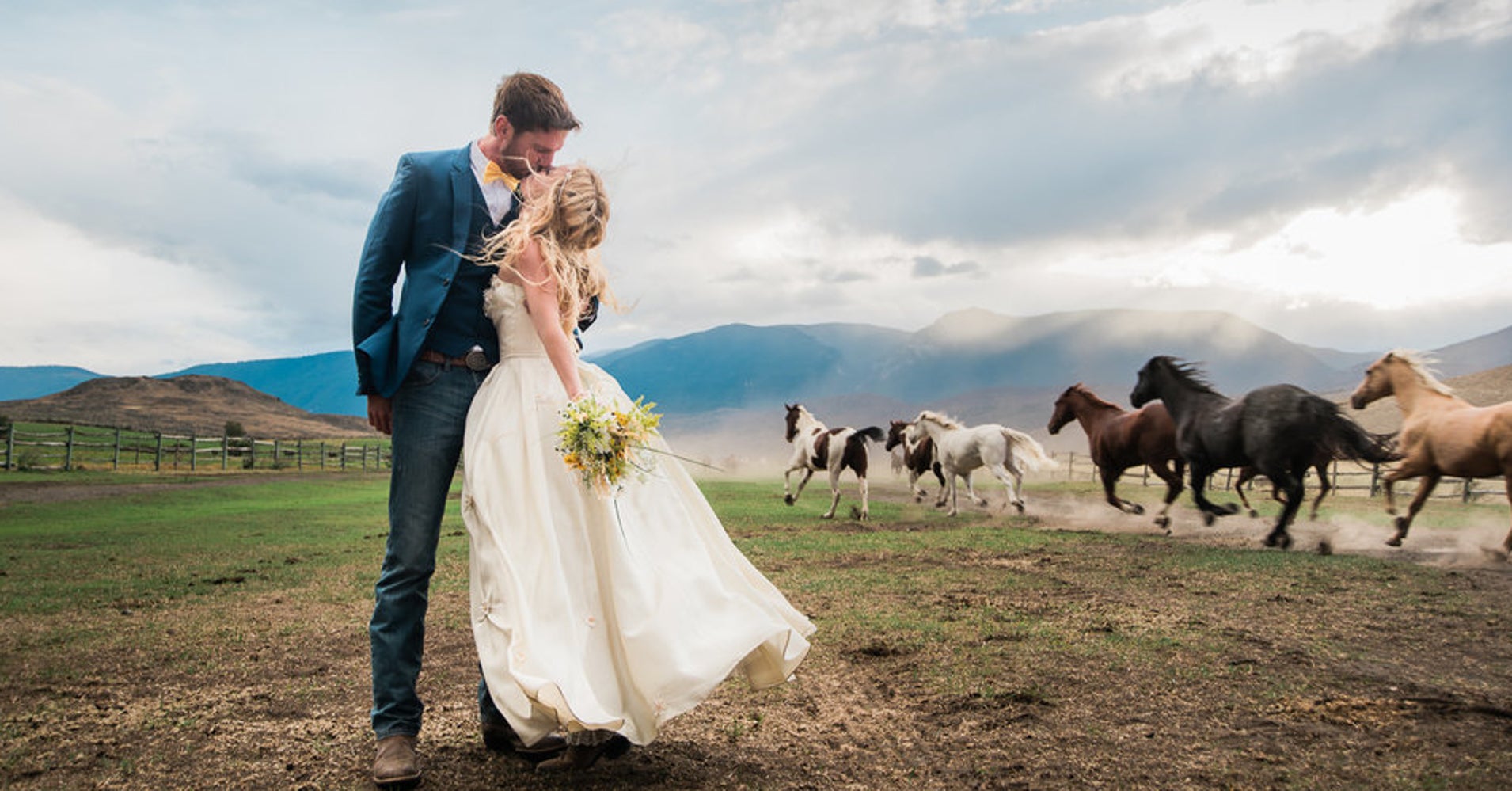 Majestic Horses Turn This Wedding Photo Into A Masterpiece HuffPost