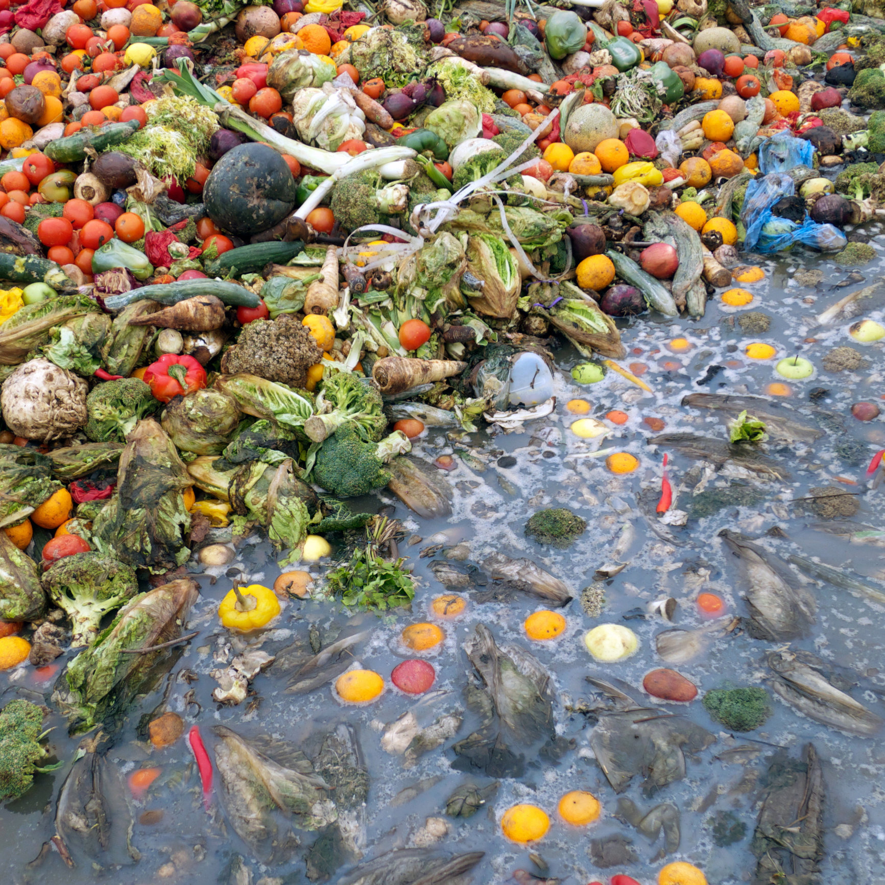 Our Ridiculously Massive Food Waste Is Driving Climate Change | HuffPost