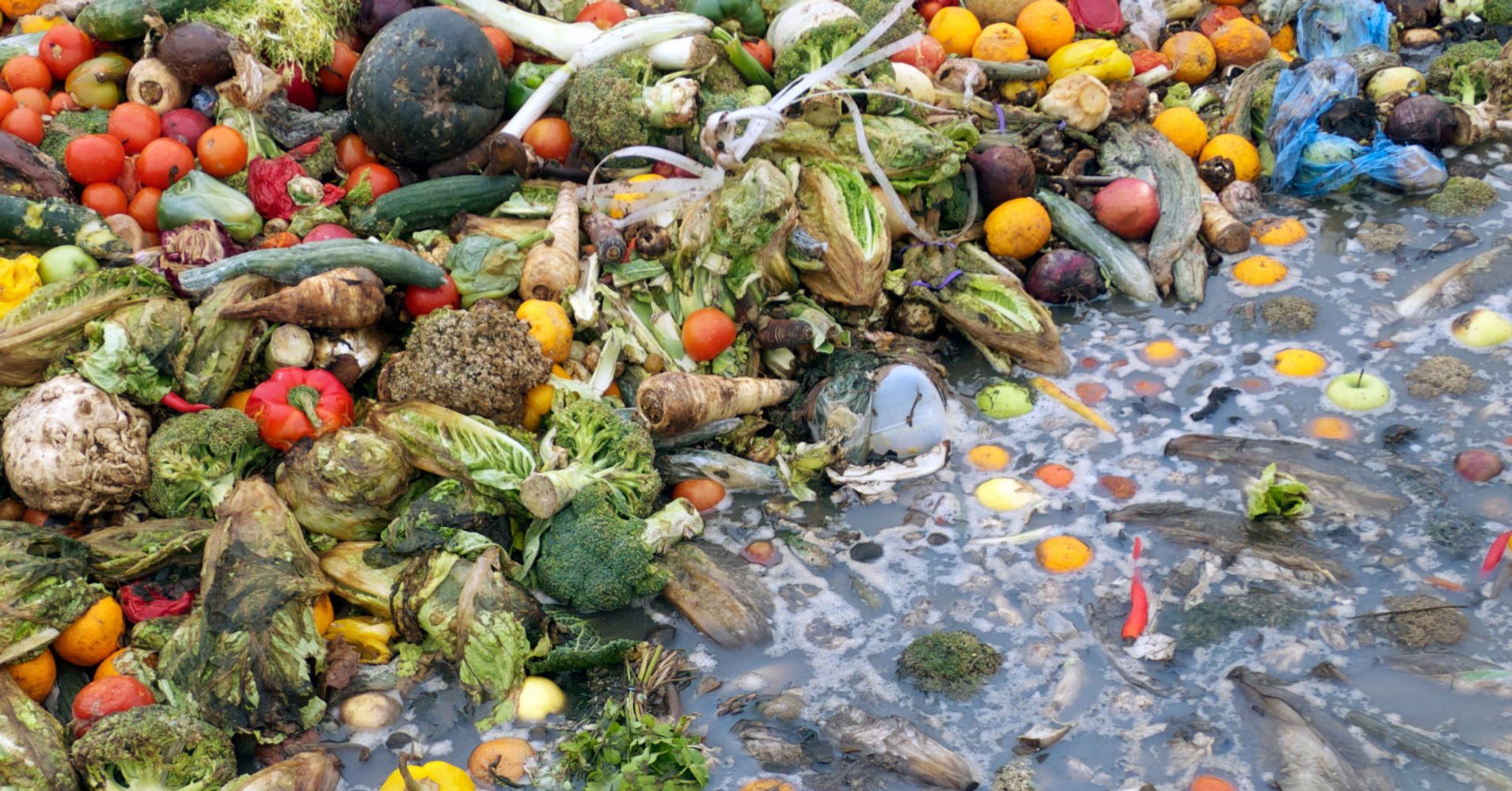 Our Ridiculously Massive Food Waste Is Driving Climate Change HuffPost