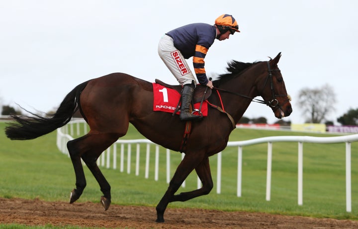 Clonbanan Lad ridden by Andrew Lynch during day two of the Winter Festival at Punchestown Racecourse, Co. Kildare, Ireland.