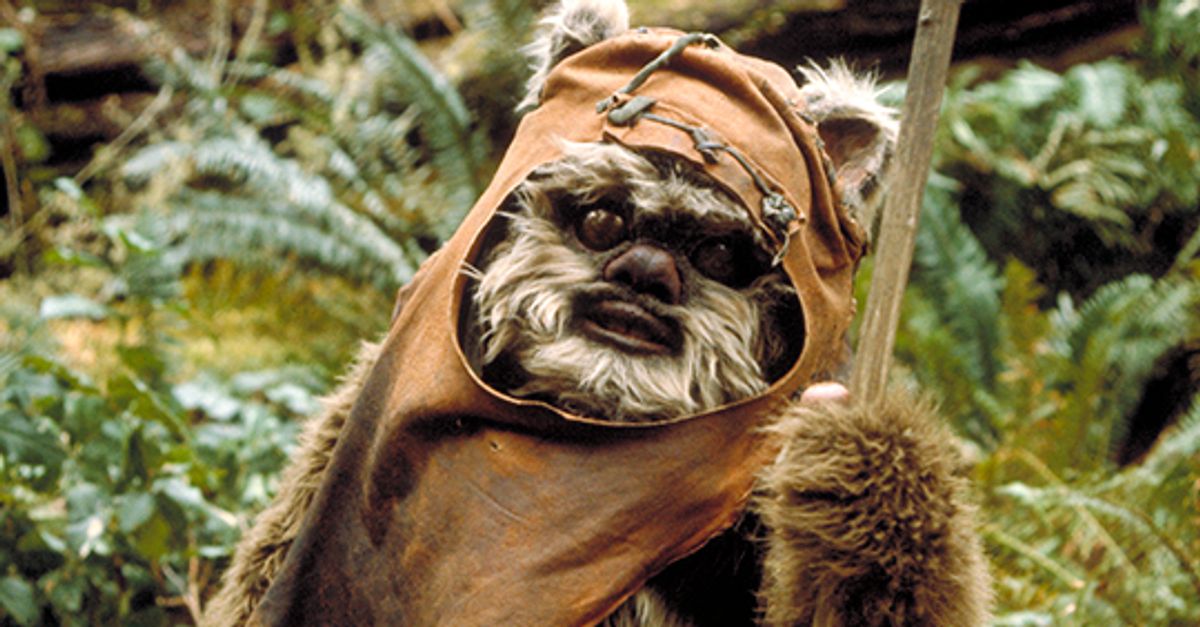 Ewok bear hotsell