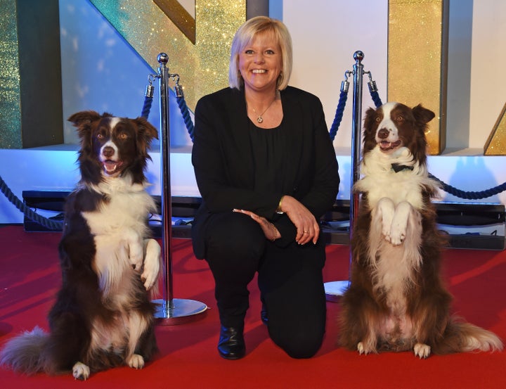 Jules and Matisse used the services of other dog Chase to perform a tightrope trick