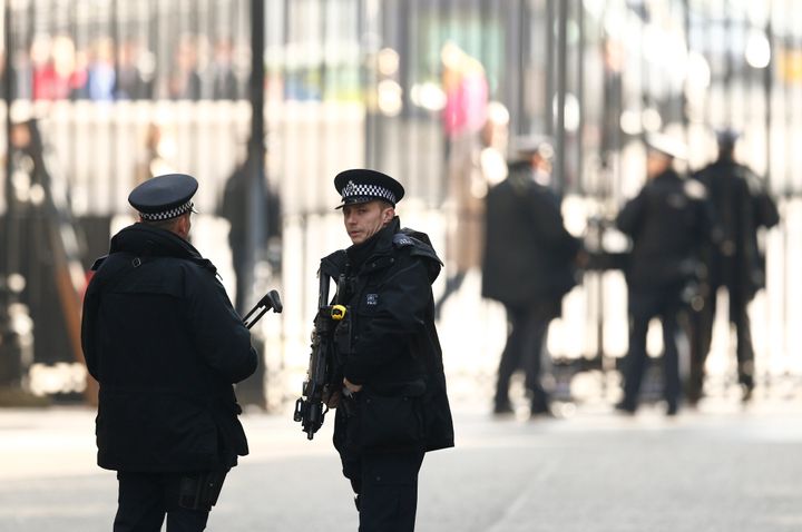 <strong>The Metropolitan Police says it has appropriate plans in place ahead of the demo at Downing Street</strong>