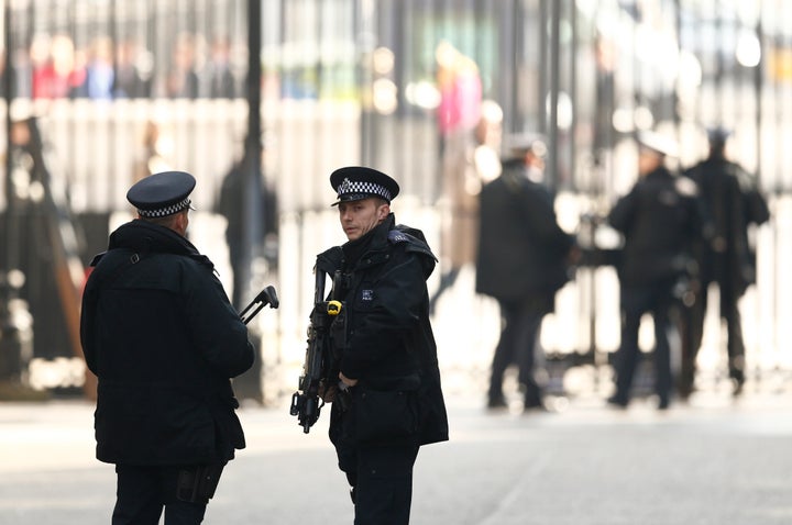 The Metropolitan Police says it has appropriate plans in place ahead of the demo at Downing Street