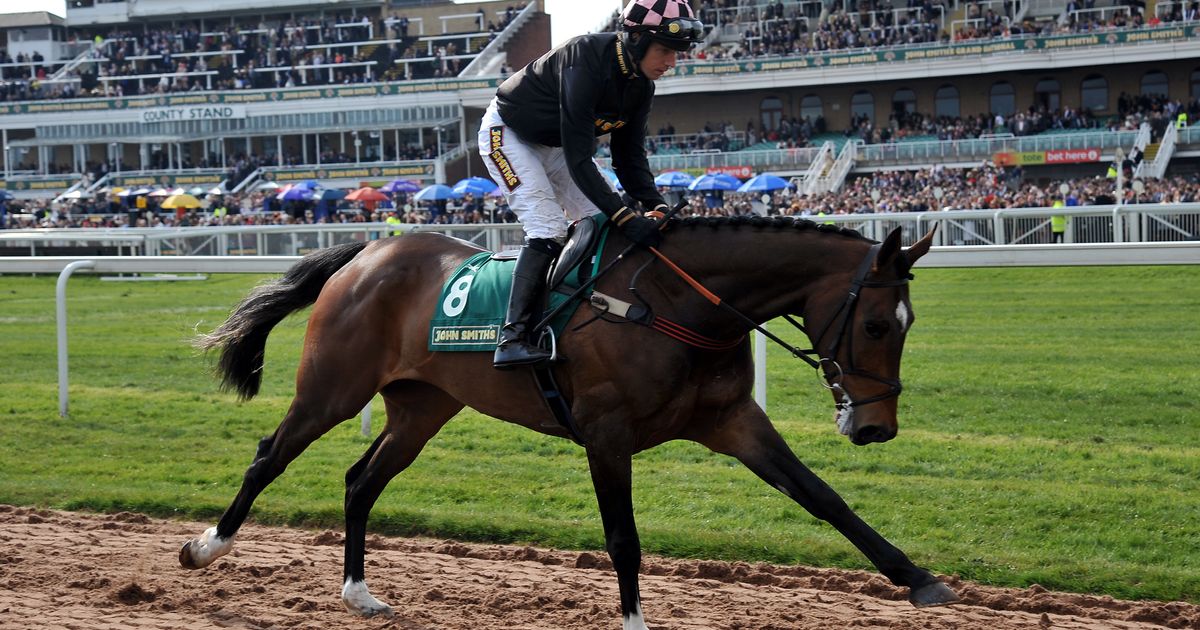 Grand National 2016 At Aintree Racecourse Leads To The Deaths Of ...